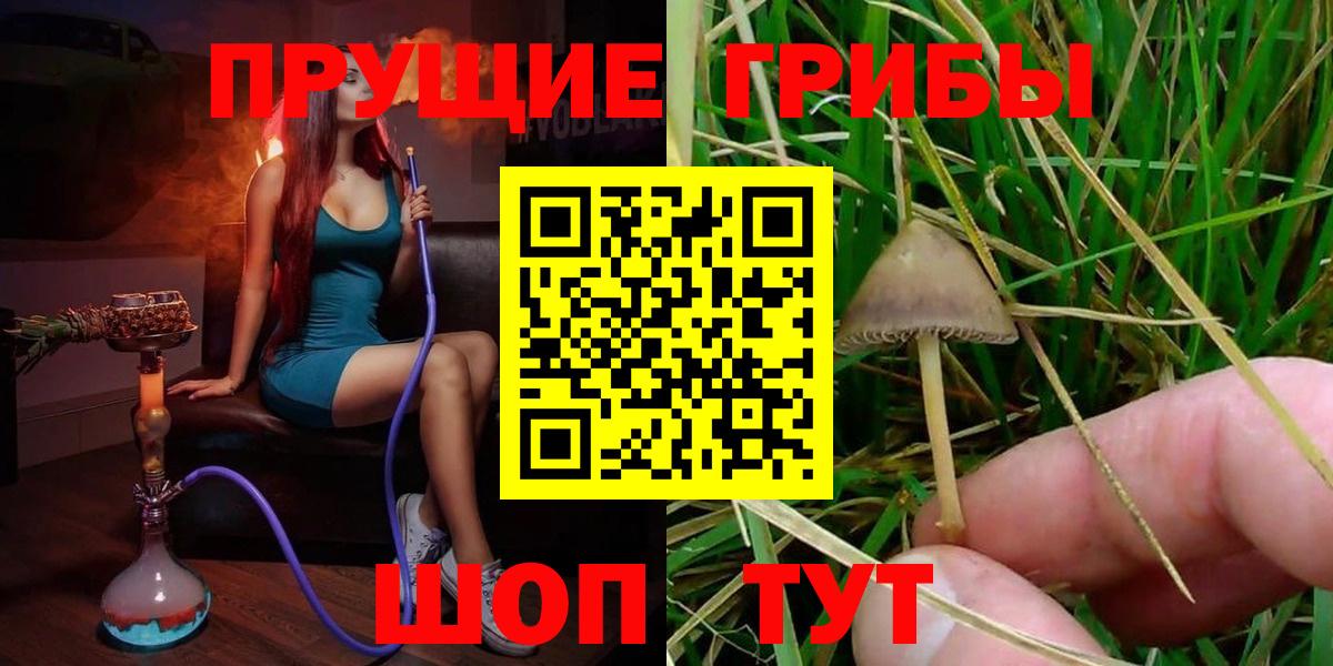 Псилоцибиновые грибы мицелий Миллерово