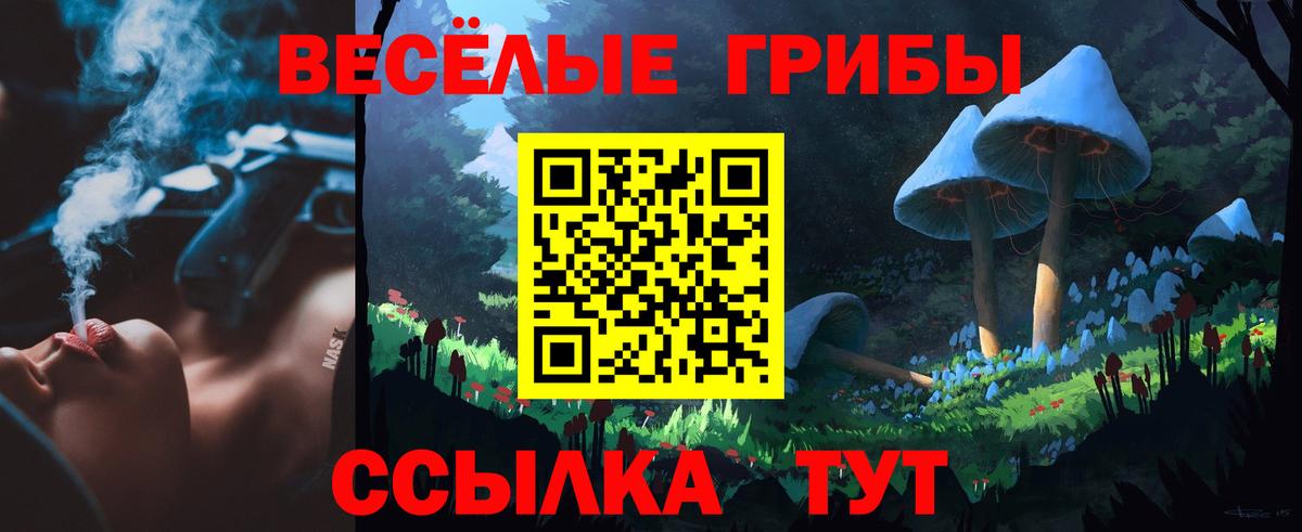 Галлюциногенные грибы прущие грибы  Вход с VPN  Миллерово 